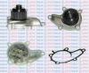AQUAPLUS 85-6690 Water Pump